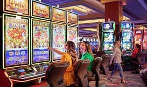 djbet33